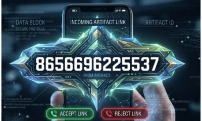 What is 8656696225537?