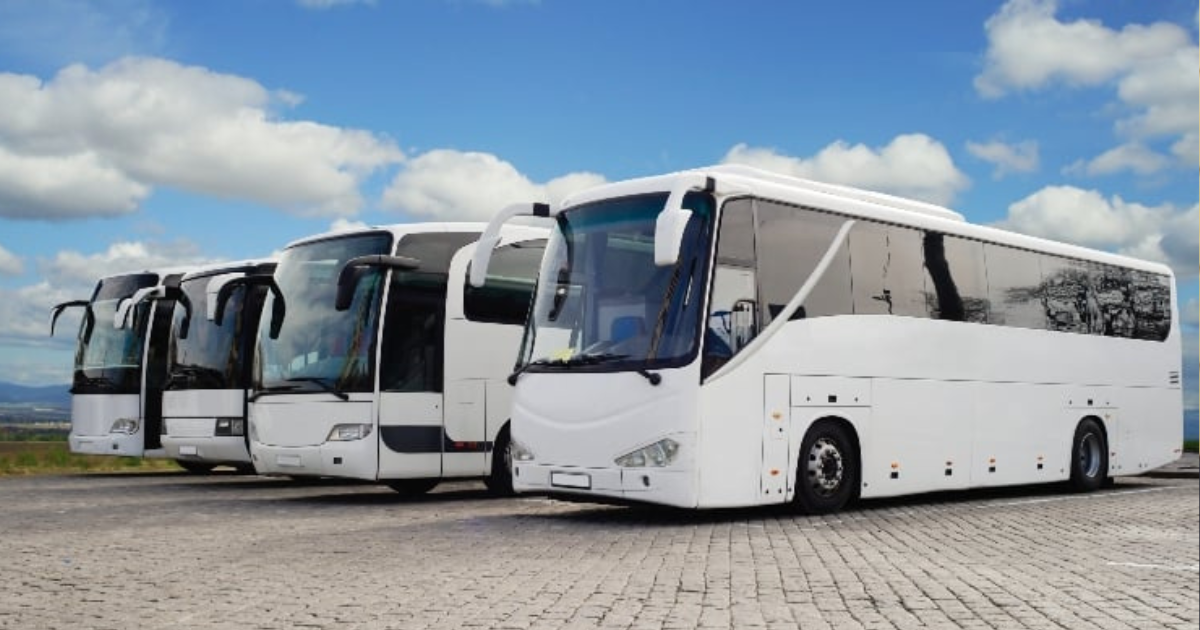 bus